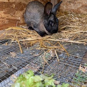 Meet your Posher, Shaylee